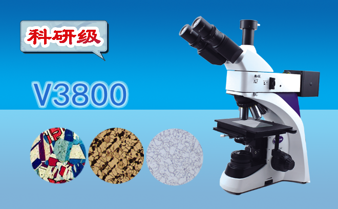 1750994467937237.png 金相顯微鏡.png